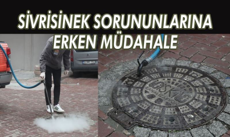 SİVRİSİNEK SORUNUNLARINA ERKEN MÜDAHALE