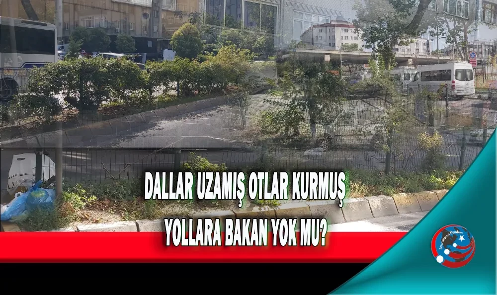 DALLAR UZAMIŞ OTLAR KURMUŞ YOLLARA BAKAN YOK MU?