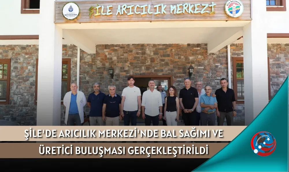 ŞİLE