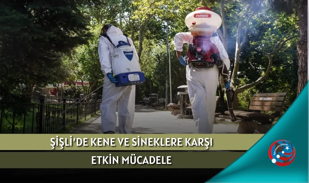 ŞİŞLİ’DE KENE VE SİNEKLERE KARŞI ETKİN MÜCADELE